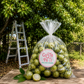 Quenepas Típicas Pa' Ti