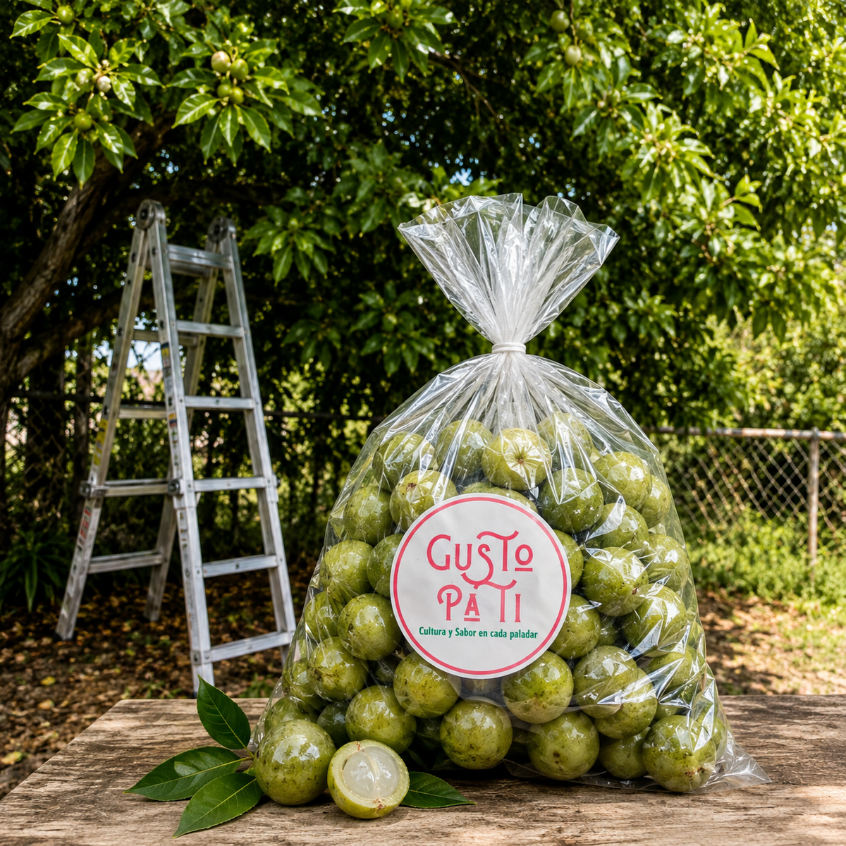 Quenepas Típicas Pa' Ti